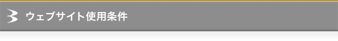 ウェブサイト使用条件